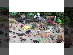 পশু চিত্র