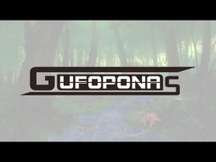 ডাইনোসর চিত্র সেট বাস্তবসম্মত হাতের আঁকা Dilophosaurus চিত্র সঞ্চালনযোগ্য চোয়াল সঙ্গে